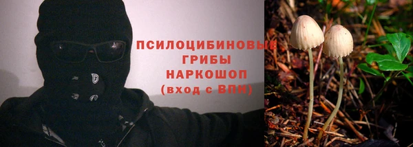 стаф Арсеньев