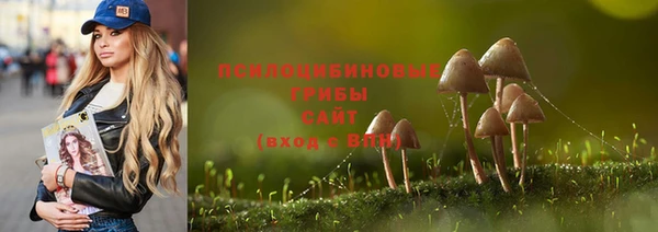 гидропоника Сясьстрой