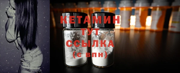шишки Тавда