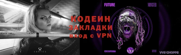 шишки Тавда