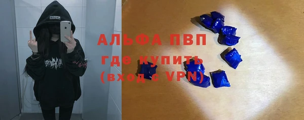 стаф Арсеньев