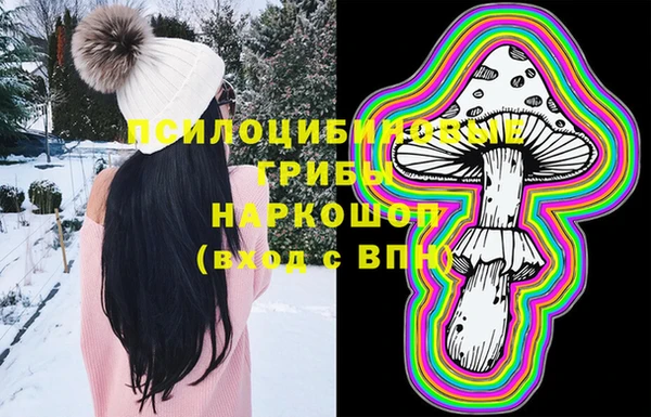 стаф Арсеньев