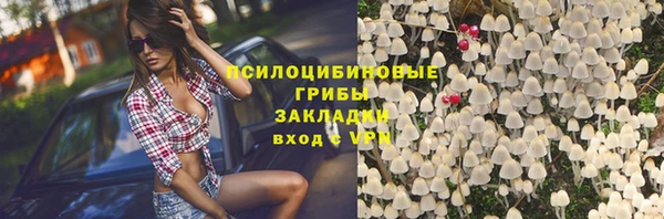 гидропоника Сясьстрой