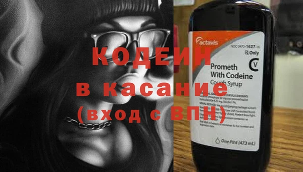 стаф Аркадак