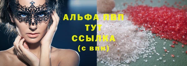 стаф Аркадак
