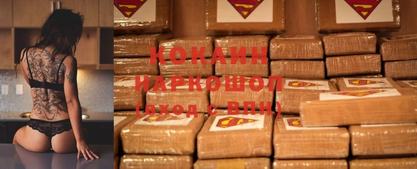 стаф Арсеньев