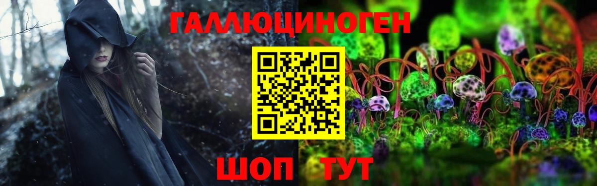 Сочи  Галлюциногенные грибы GOLDEN TEACHER  Вход с VPN  Псилоцибиновые грибы GOLDEN TEACHER 